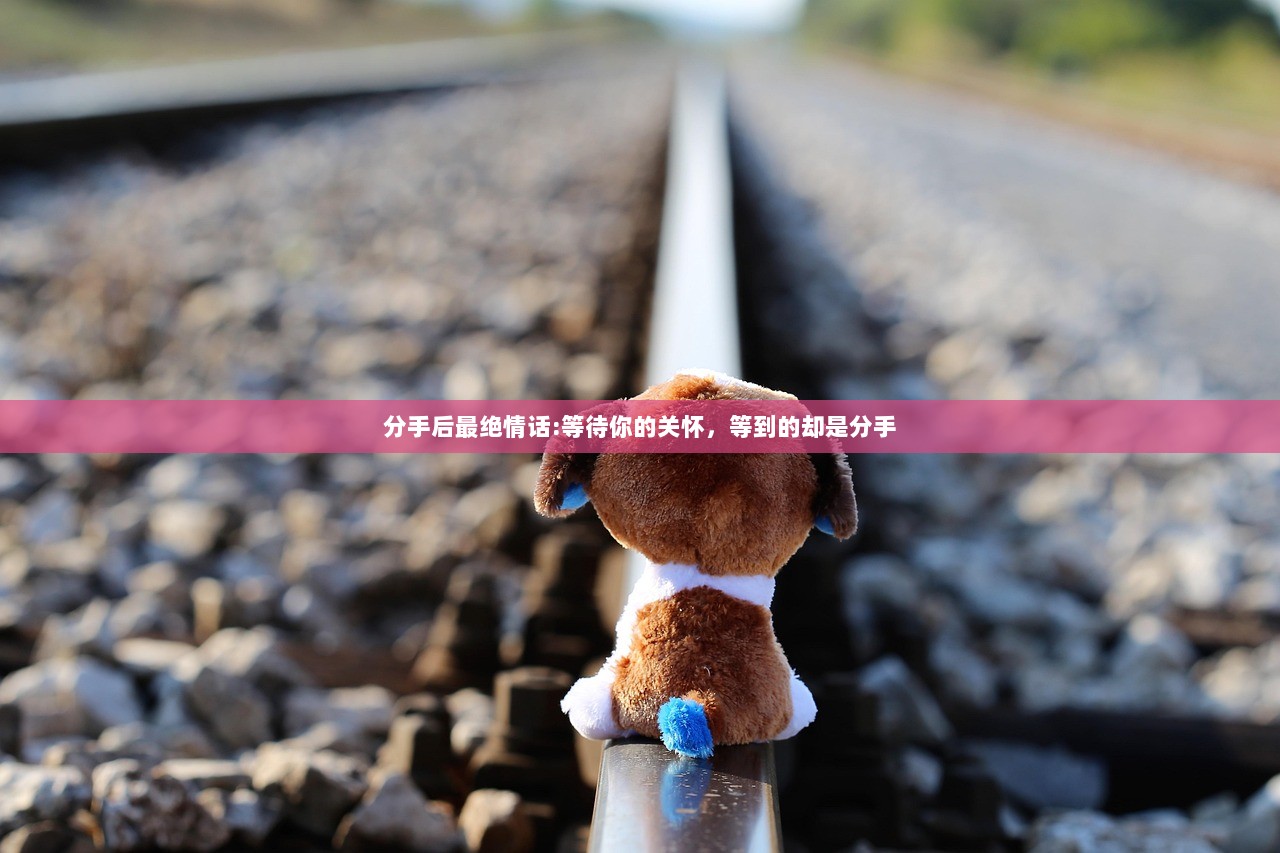 分手后最绝情话:等待你的关怀，等到的却是分手  第1张