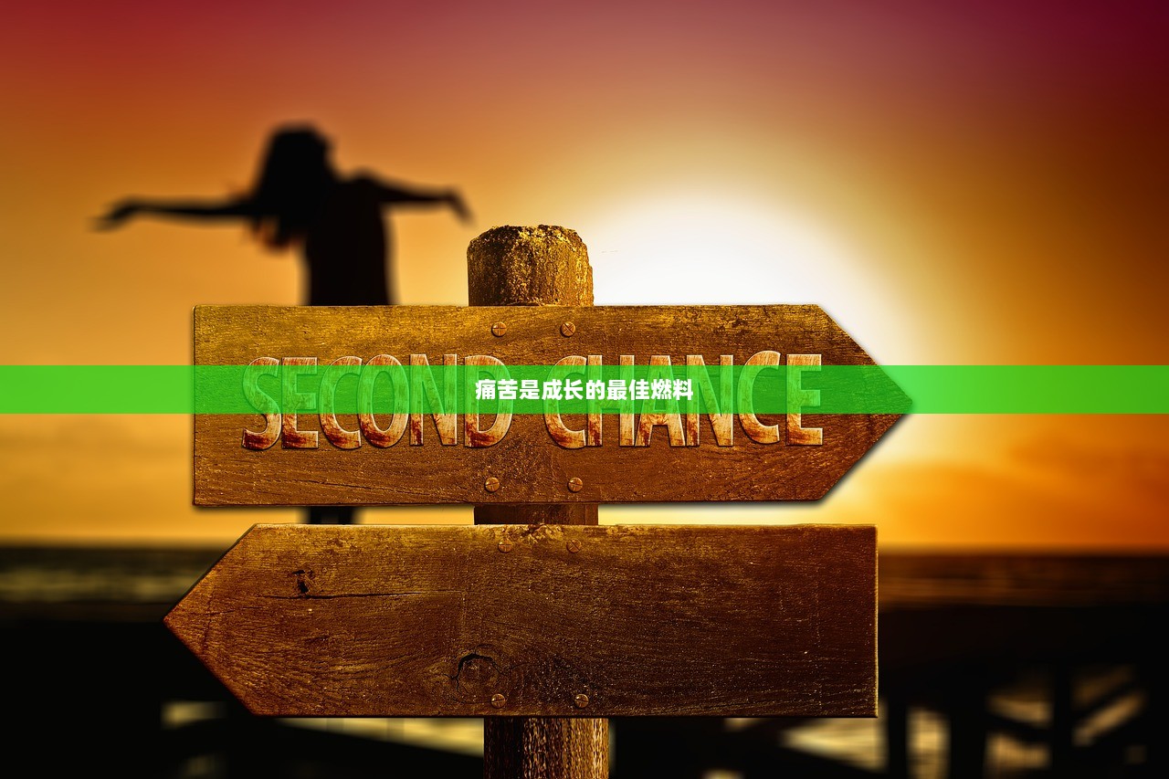 痛苦是成长的最佳燃料  第1张