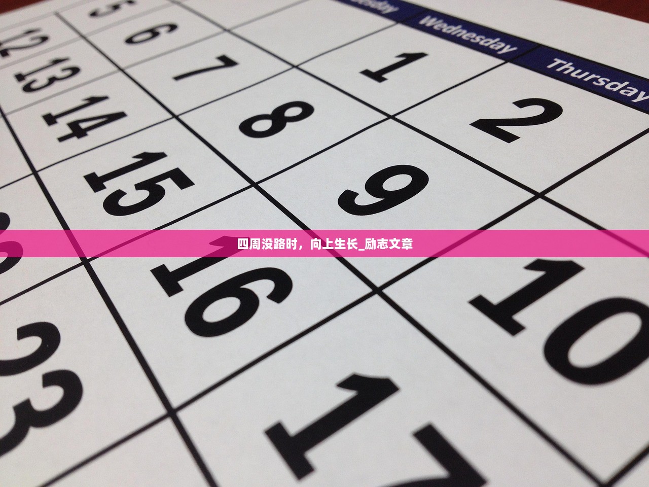 四周没路时，向上生长_励志文章  第1张
