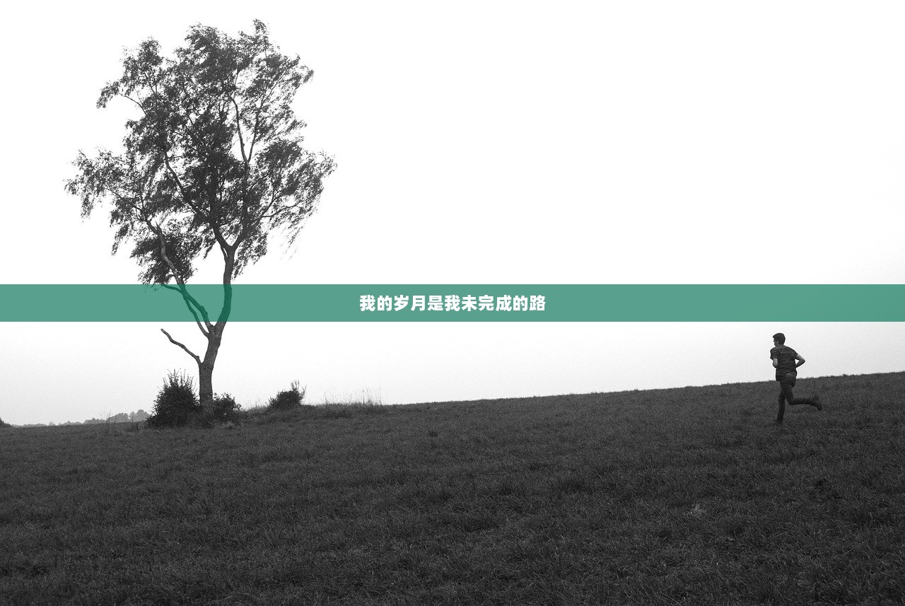 我的岁月是我未完成的路  第1张