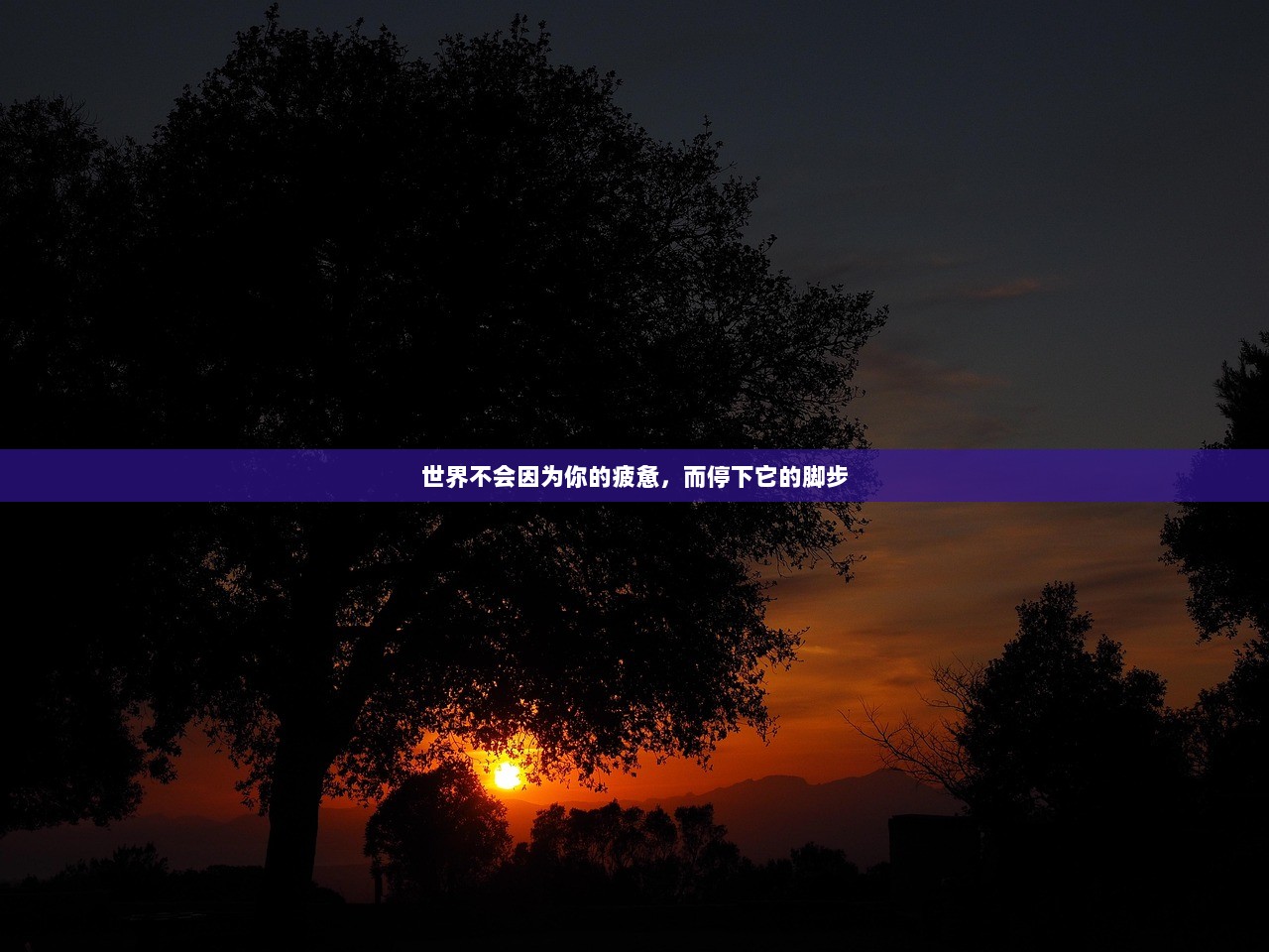 世界不会因为你的疲惫，而停下它的脚步  第1张