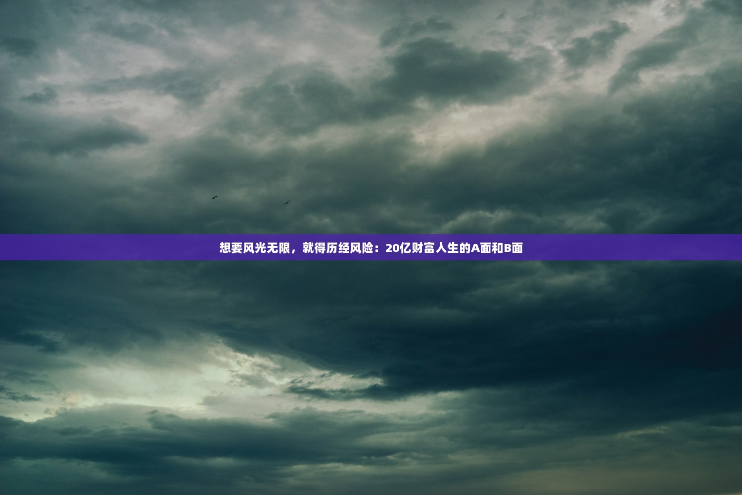 想要风光无限，就得历经风险：20亿财富人生的A面和B面  第1张