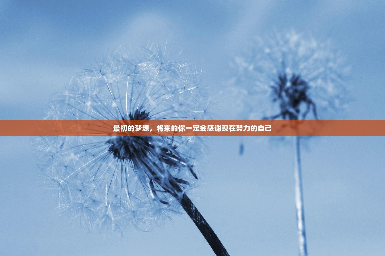 最初的梦想，将来的你一定会感谢现在努力的自己  第1张