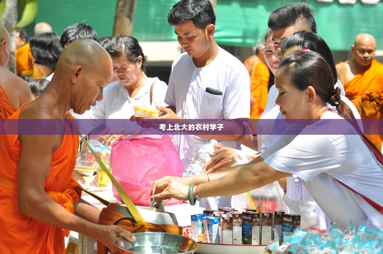 考上北大的农村学子  第1张