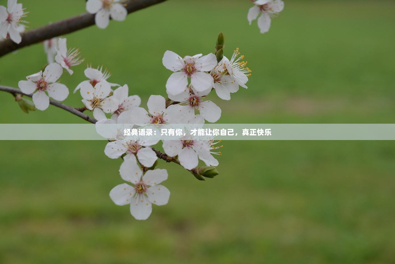 经典语录:只有你,才能让你自己,真正快乐 第1张 经典语录:只有你,才能让你自己,真正快乐 第1张