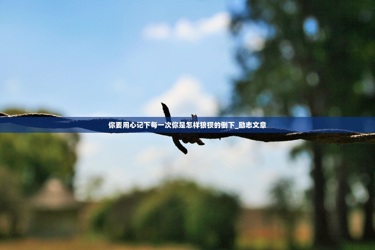 你要用心记下每一次你是怎样狼狈的倒下_励志文章  第1张