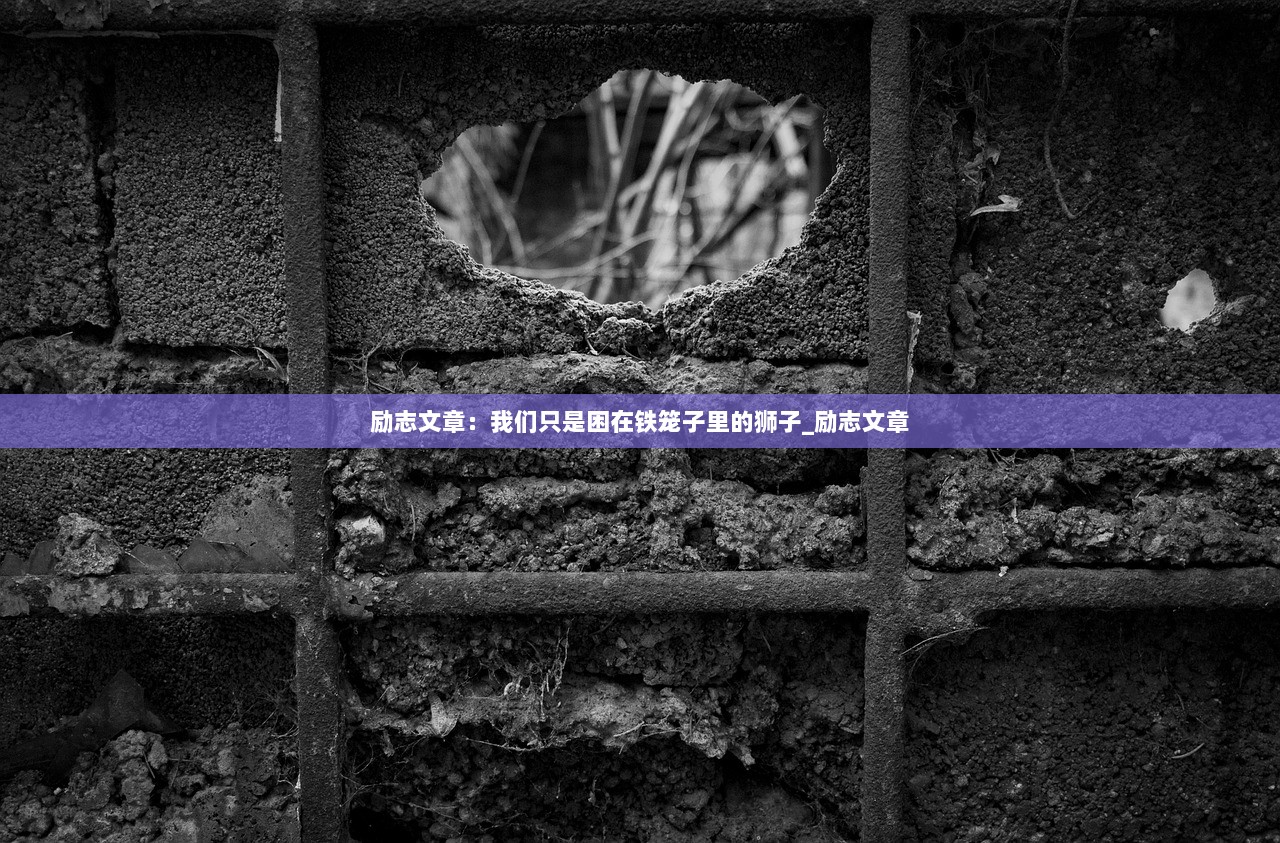 励志文章：我们只是困在铁笼子里的狮子_励志文章  第1张