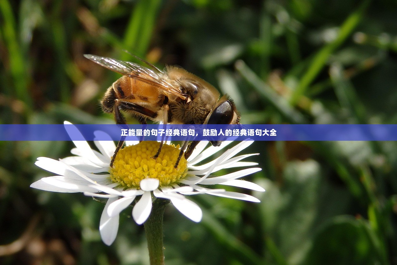 正能量的句子经典语句，鼓励人的经典语句大全  第1张