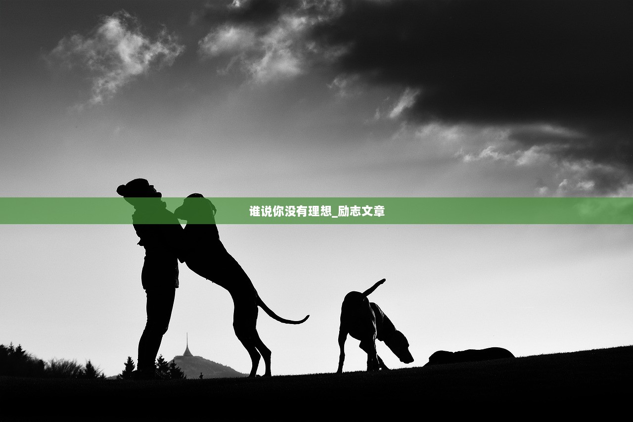 谁说你没有理想_励志文章  第1张