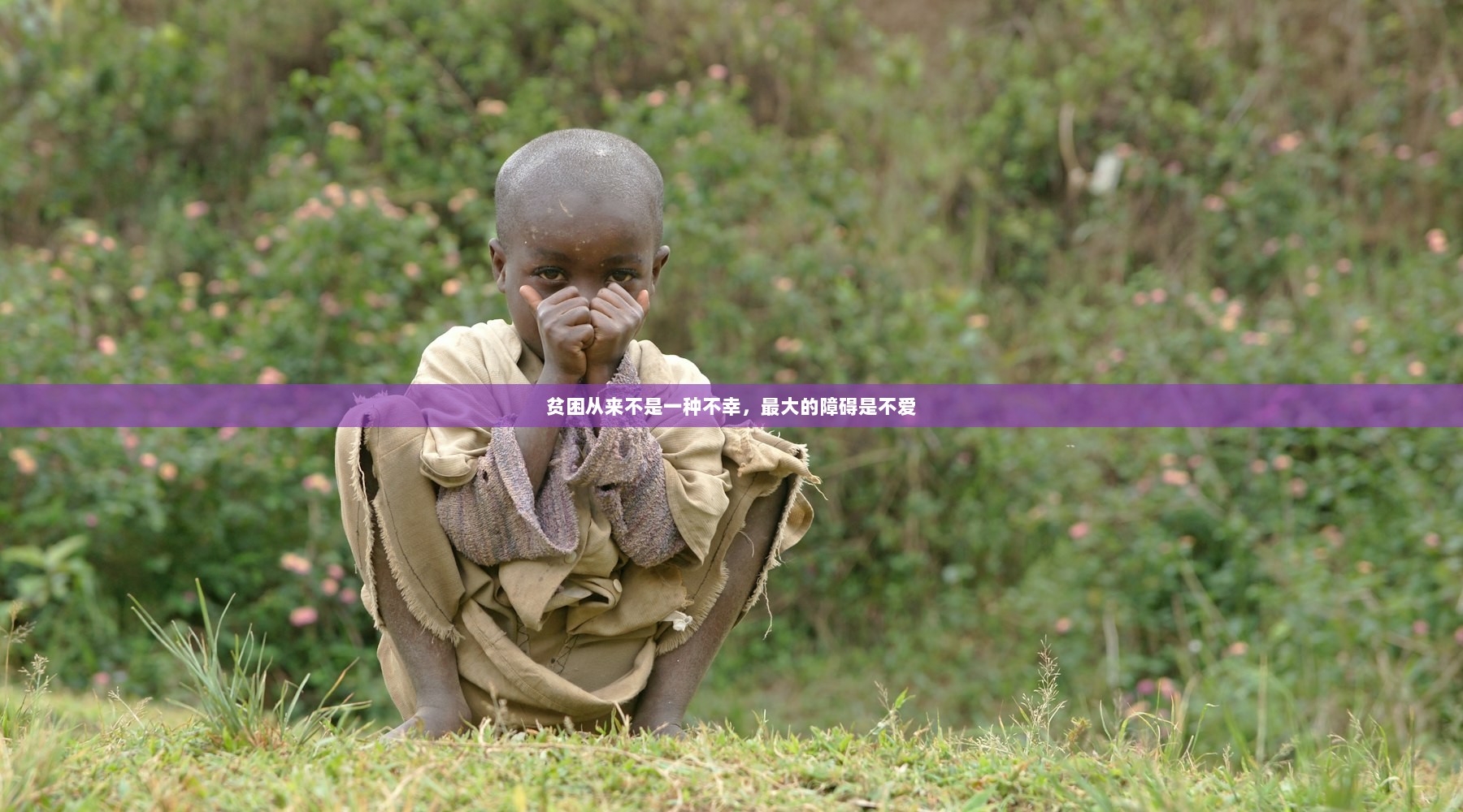 贫困从来不是一种不幸，最大的障碍是不爱  第1张