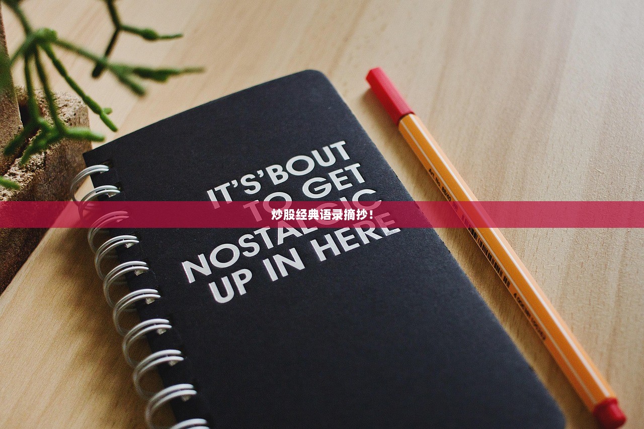 炒股经典语录摘抄！  第1张