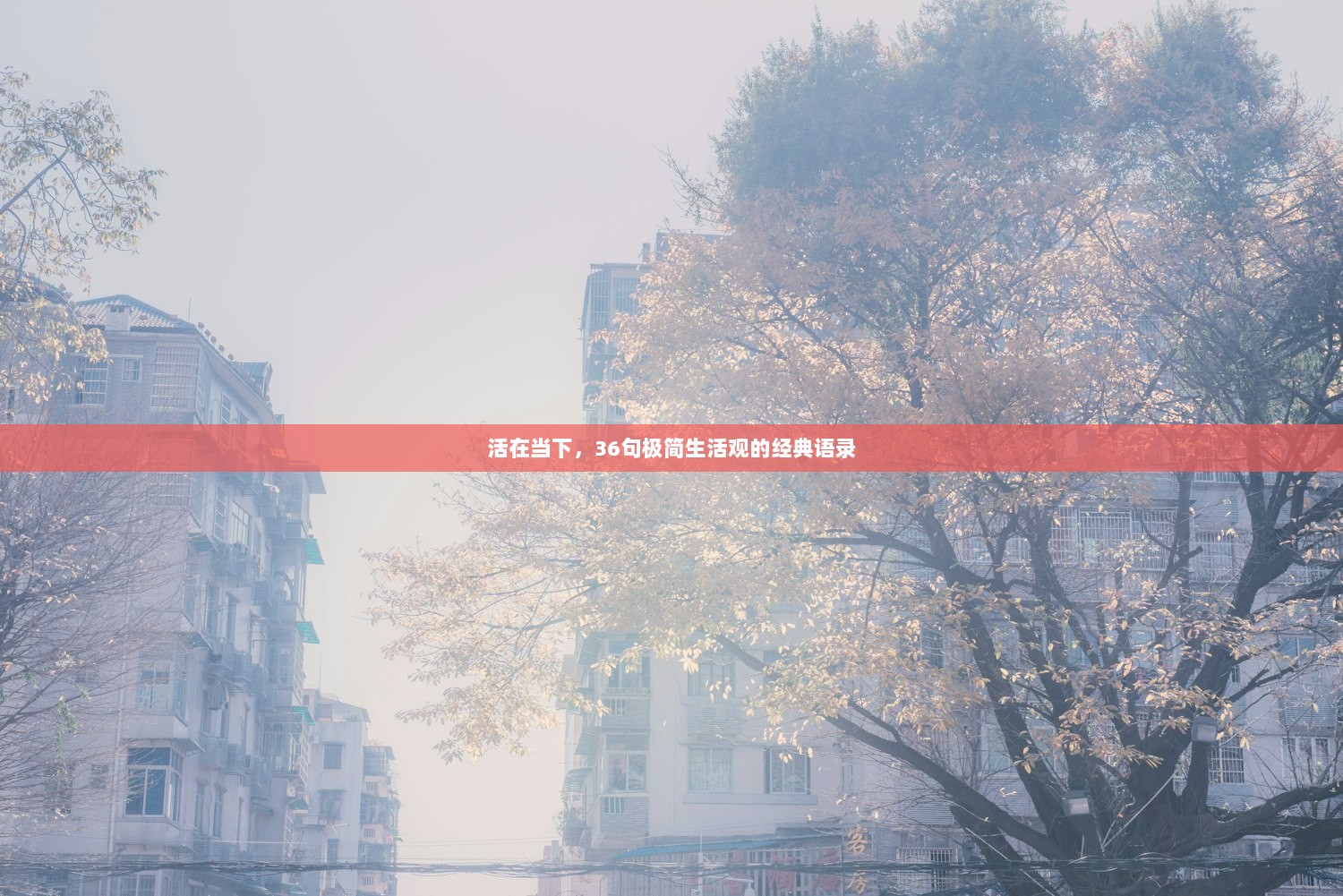 活在当下，36句极简生活观的经典语录  第1张