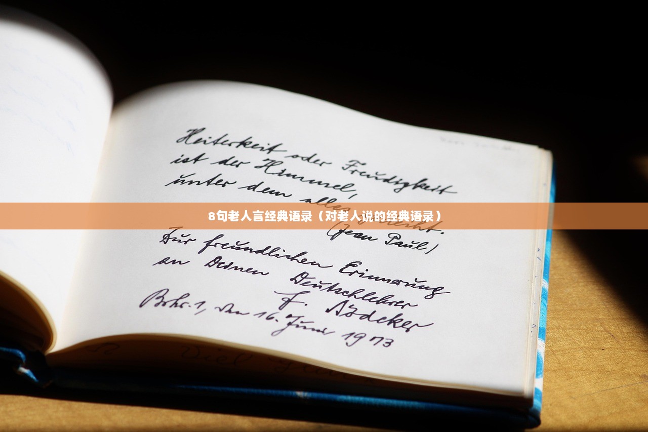 8句老人言经典语录（对老人说的经典语录）  第1张