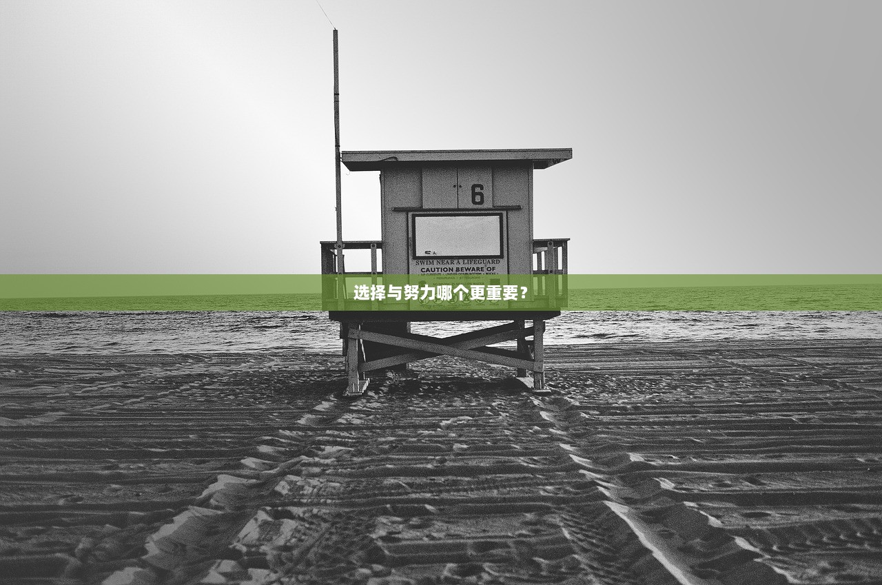 选择与努力哪个更重要？