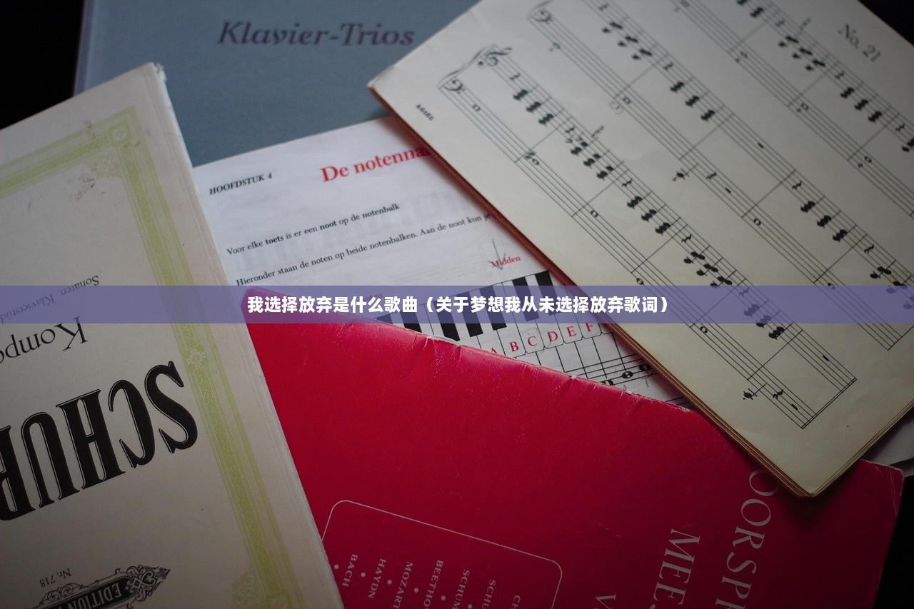 我选择放弃是什么歌曲（关于梦想我从未选择放弃歌词）