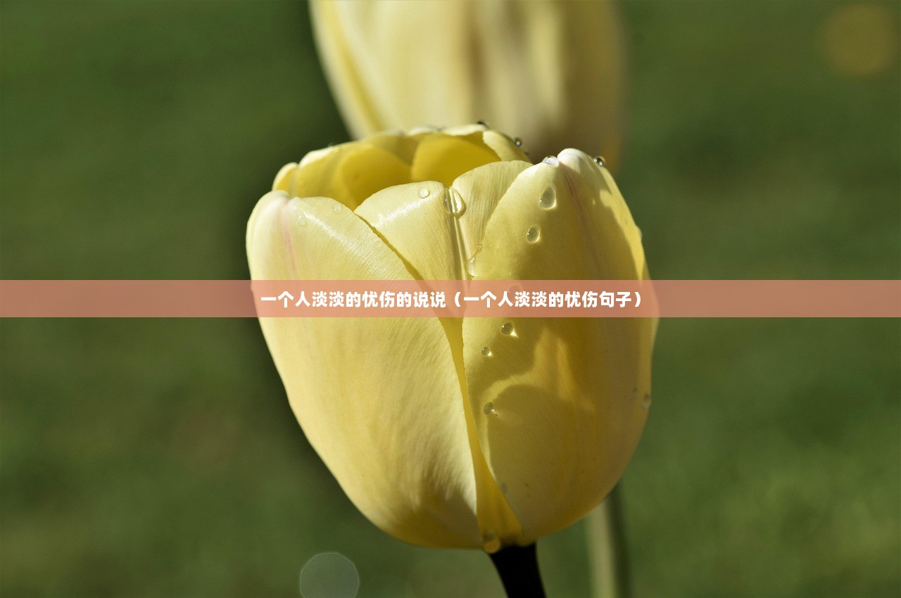 一个人淡淡的忧伤的说说（一个人淡淡的忧伤句子）  第1张