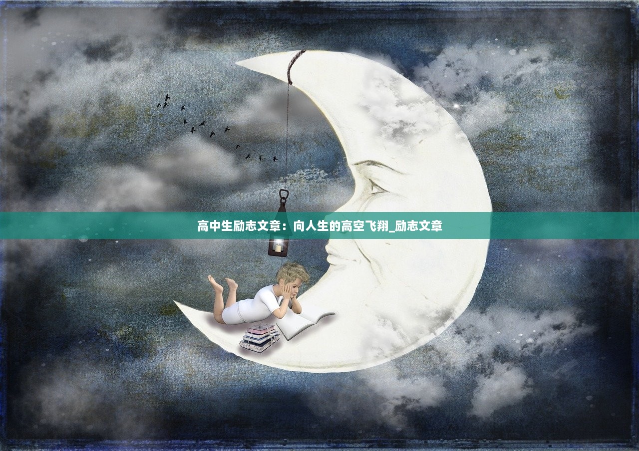高中生励志文章：向人生的高空飞翔_励志文章  第1张