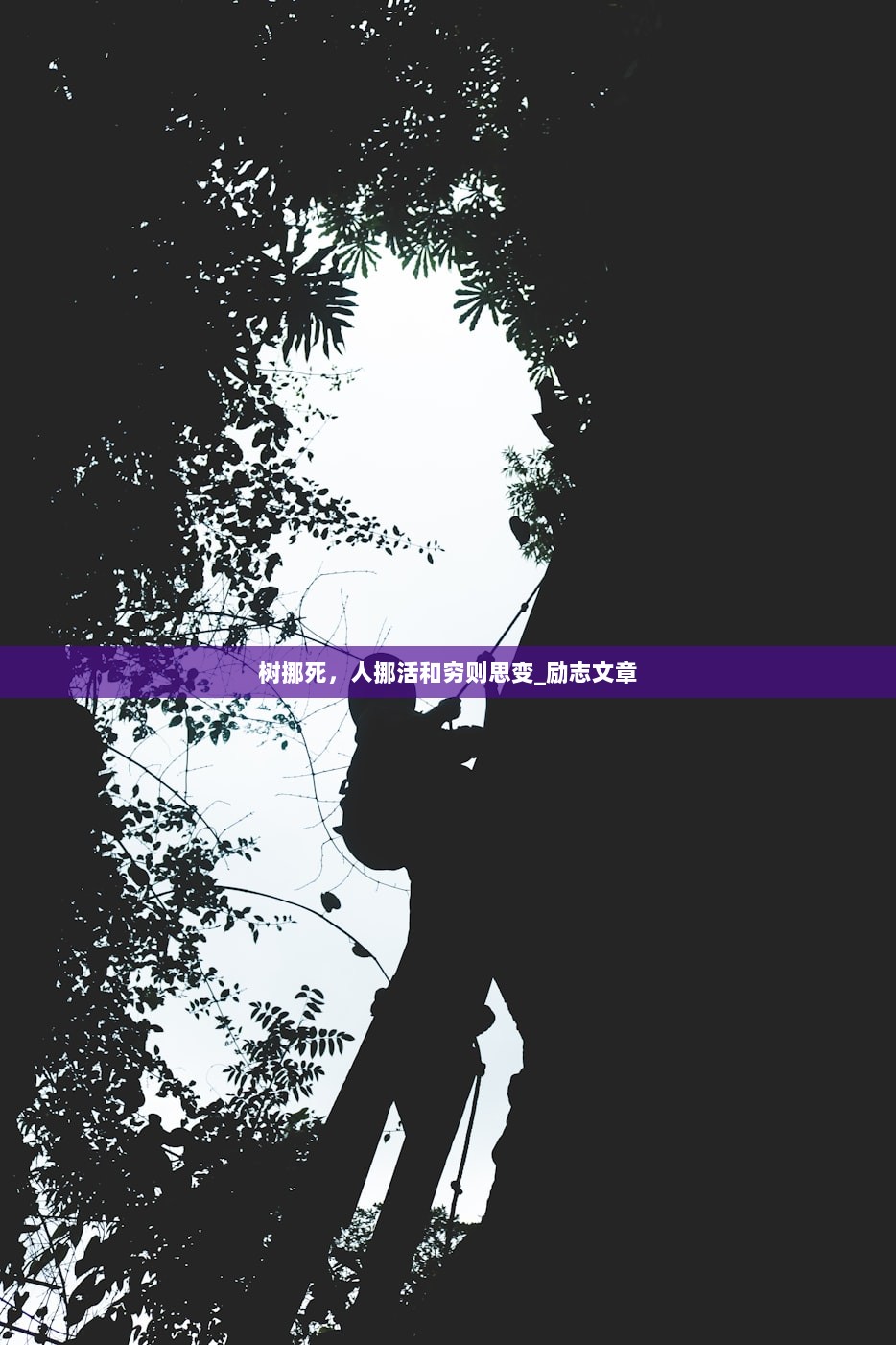树挪死，人挪活和穷则思变_励志文章  第1张