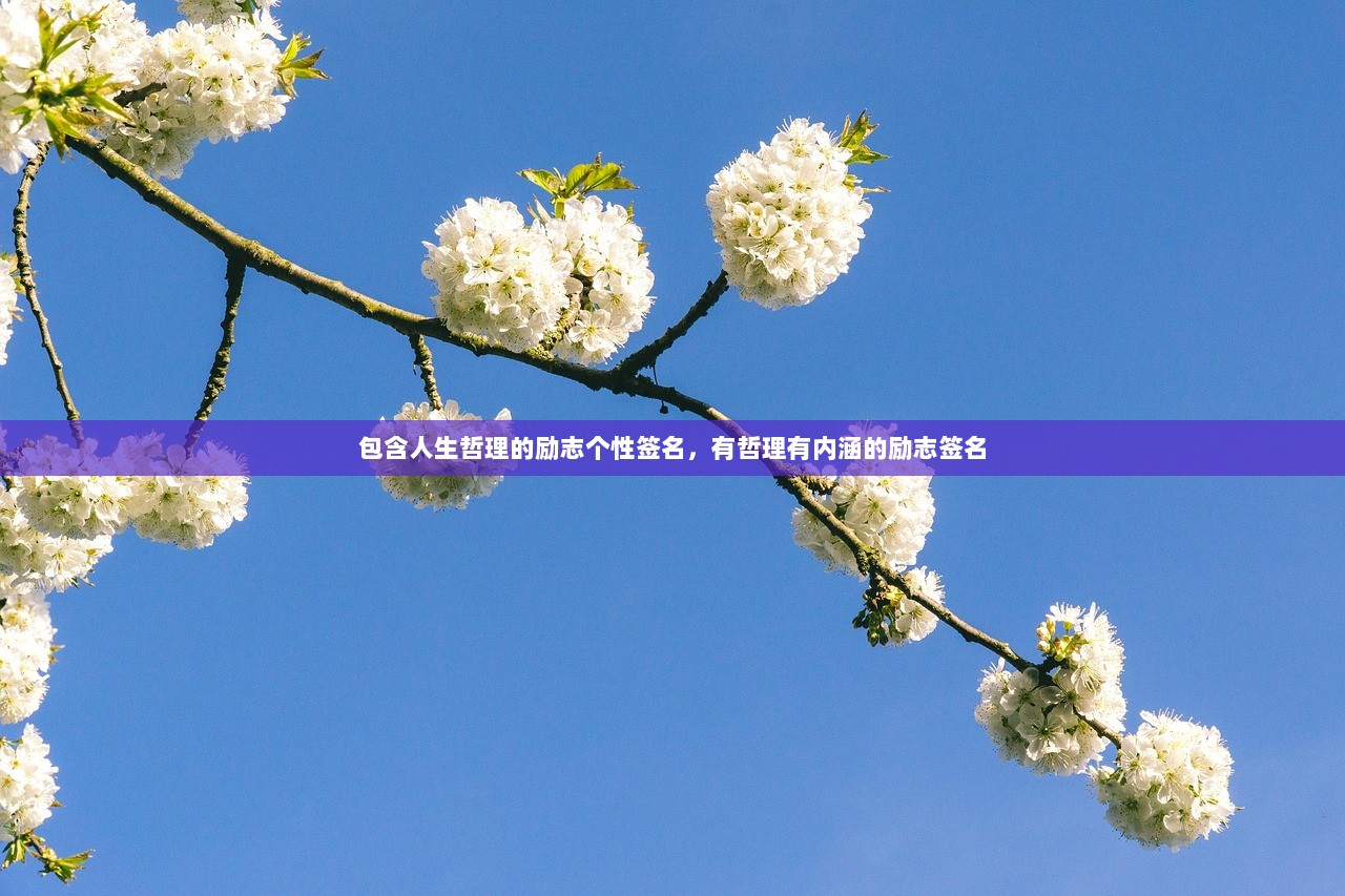 包含人生哲理的励志个性签名,有哲理有内涵的励志签名 第1张 包含人生哲理的励志个性签名,有哲理有内涵的励志签名 第1张
