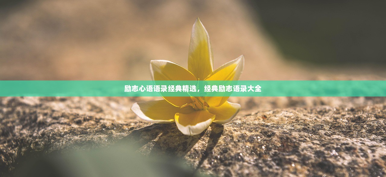 励志心语语录经典精选，经典励志语录大全