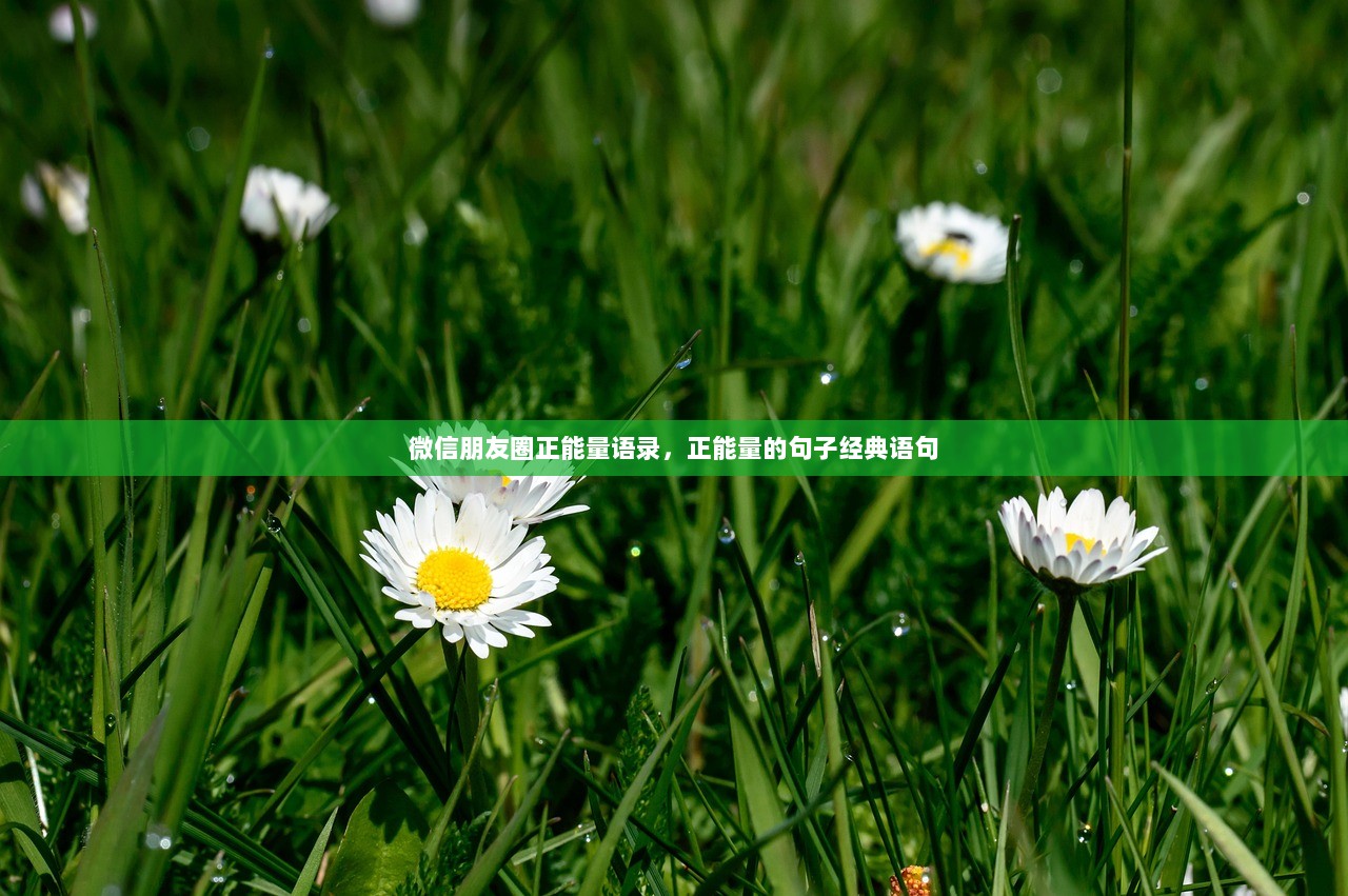 微信朋友圈正能量语录，正能量的句子经典语句