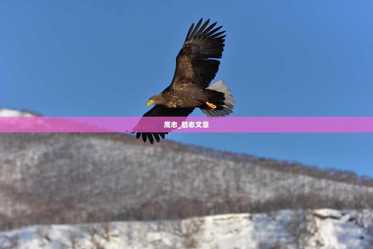 鹰志_励志文章