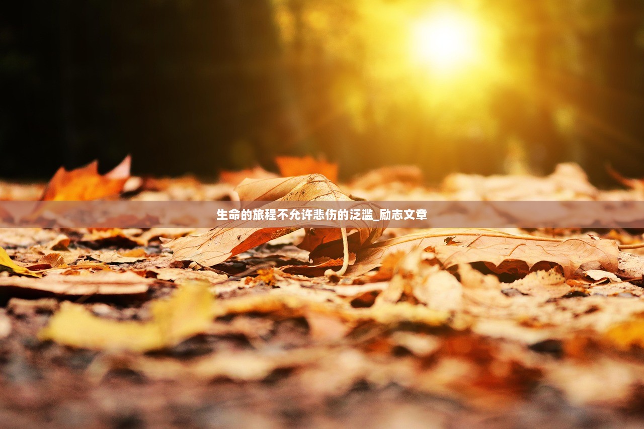 生命的旅程不允许悲伤的泛滥_励志文章