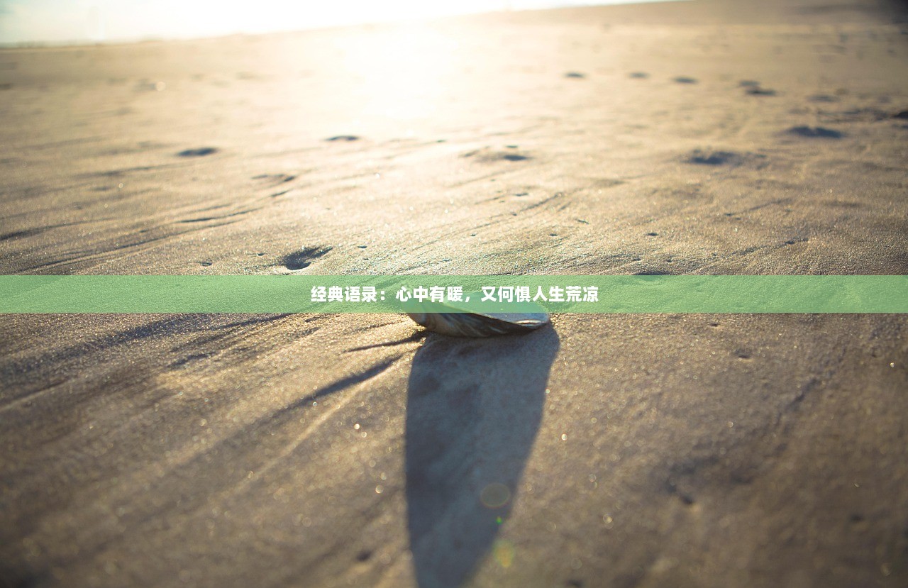 经典语录：心中有暖，又何惧人生荒凉