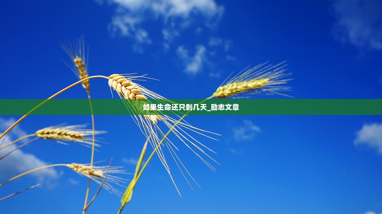 如果生命还只剩几天_励志文章