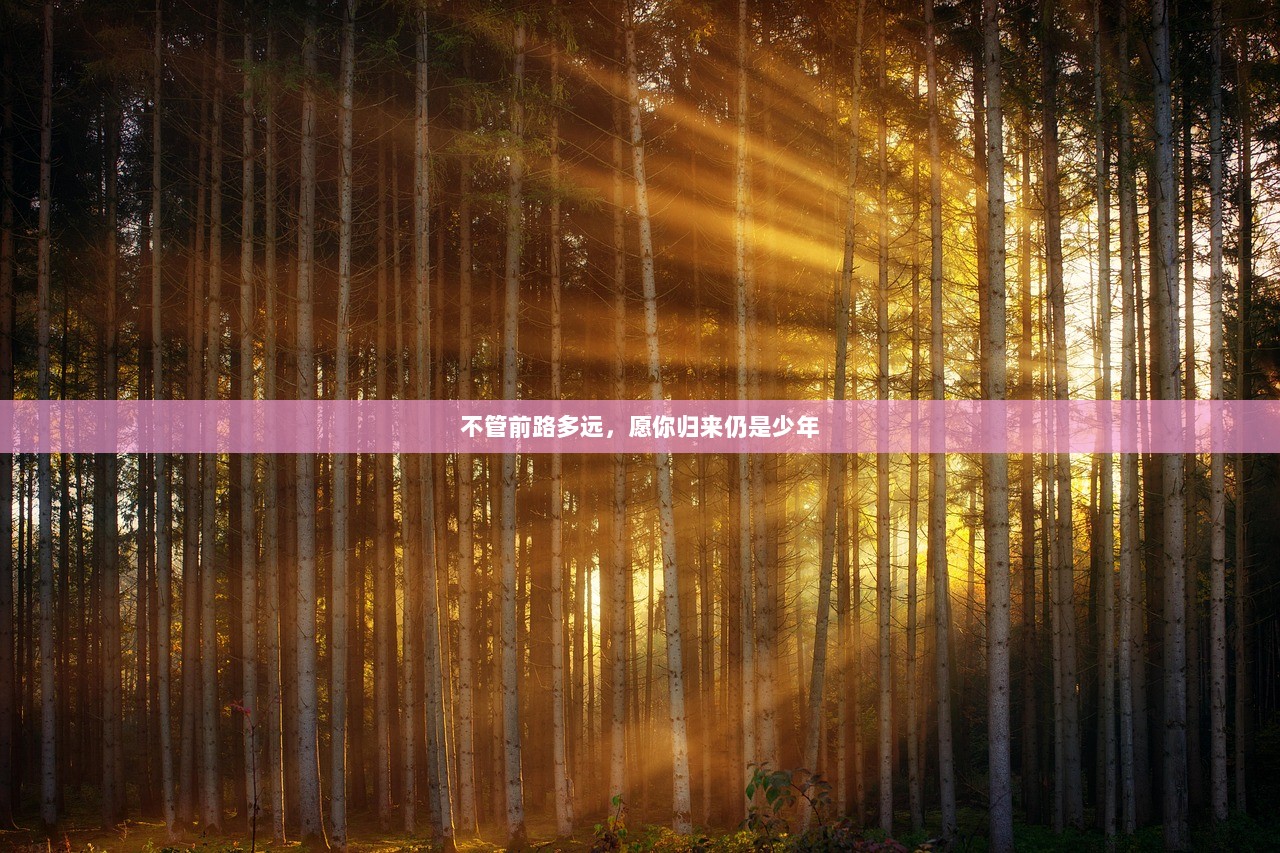 不管前路多远，愿你归来仍是少年