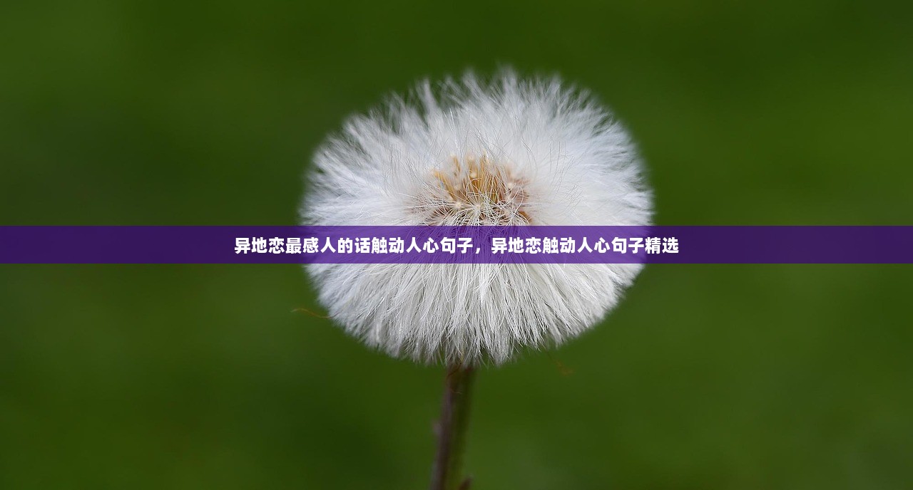 异地恋最感人的话触动人心句子，异地恋触动人心句子精选