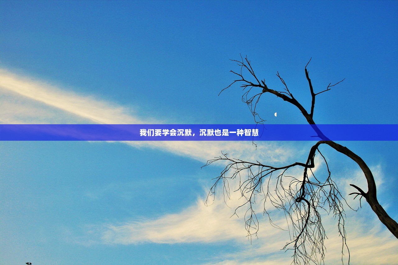 我们要学会沉默，沉默也是一种智慧