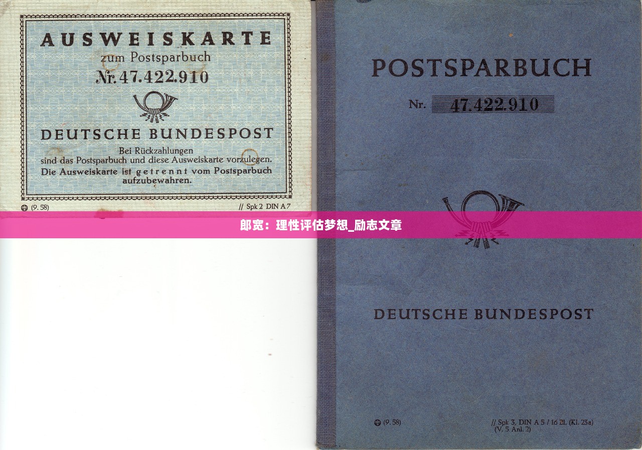 郎宽：理性评估梦想_励志文章