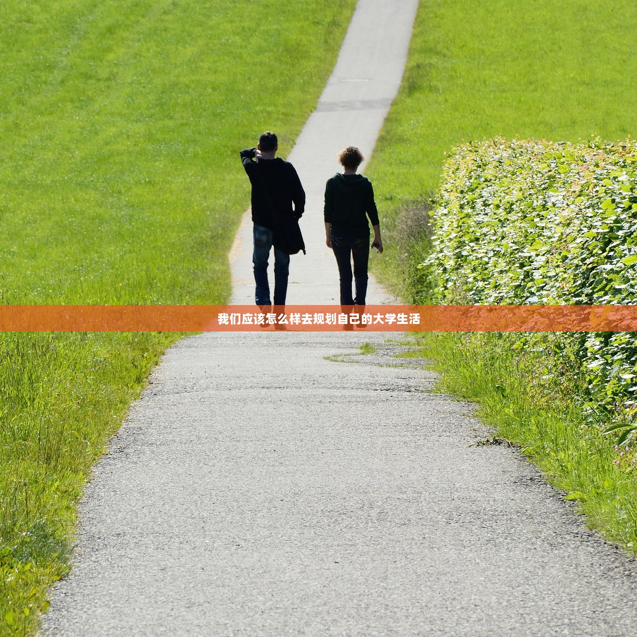 我们应该怎么样去规划自己的大学生活
