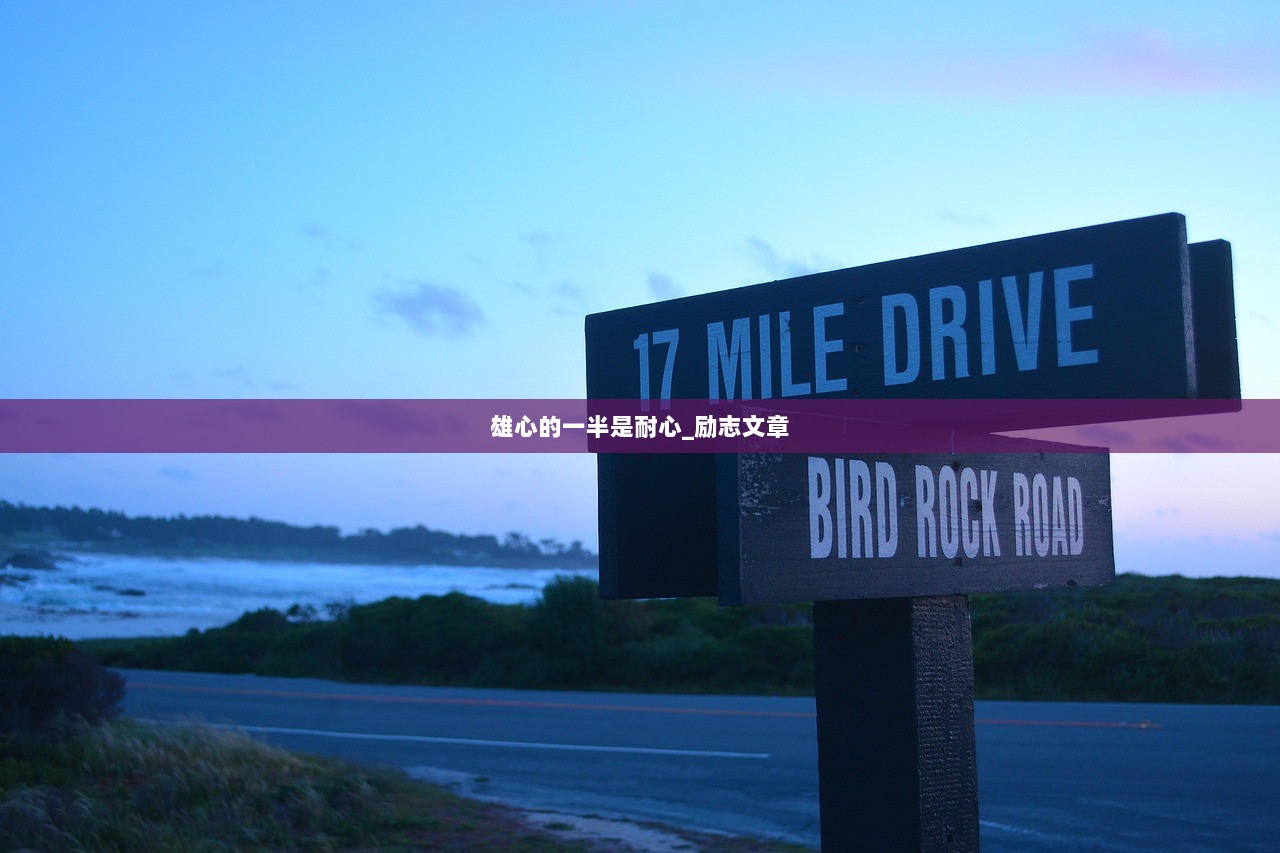 雄心的一半是耐心_励志文章