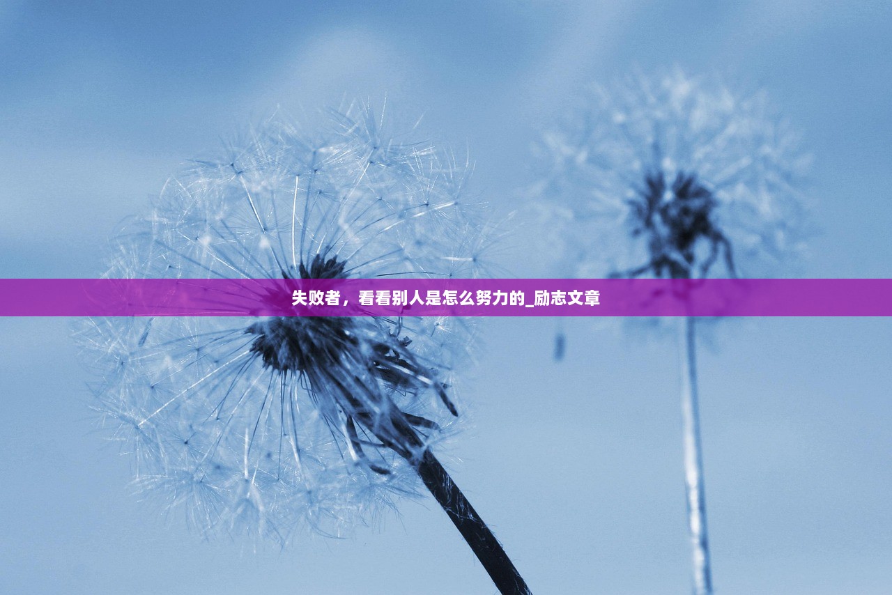 失败者，看看别人是怎么努力的_励志文章