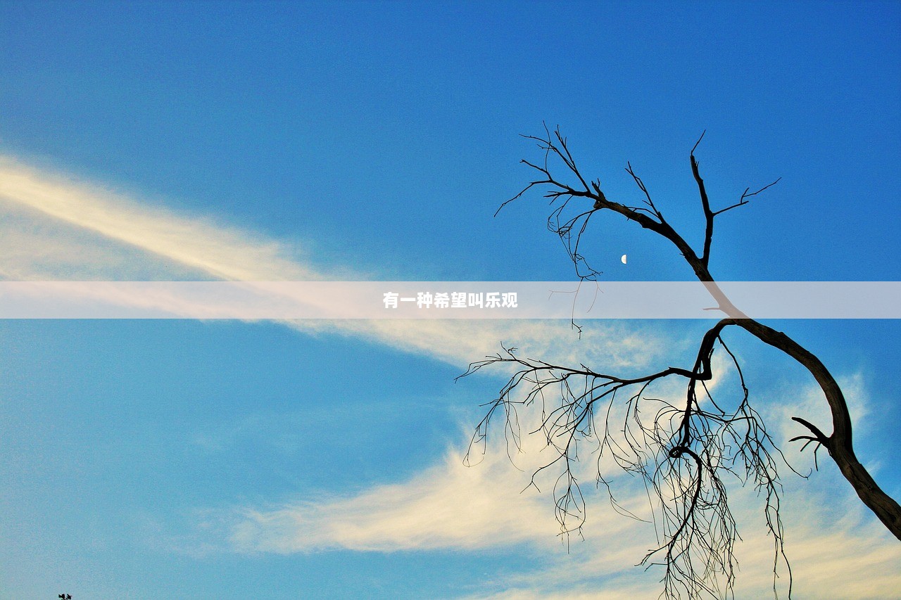 有一种希望叫乐观