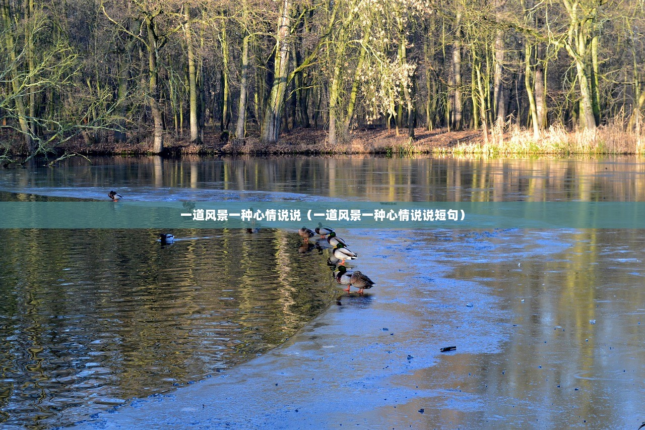 一道风景一种心情说说（一道风景一种心情说说短句）