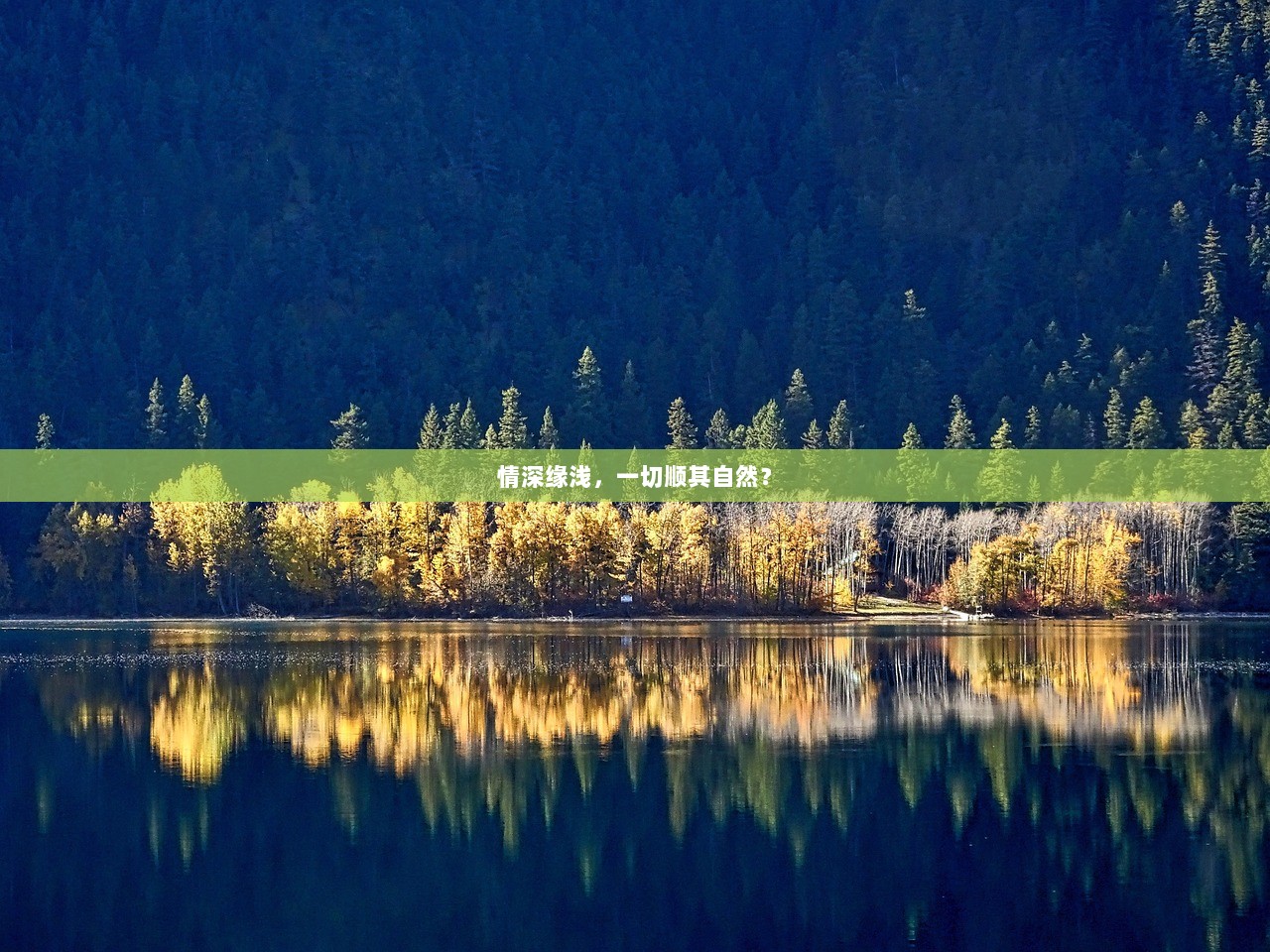 情深缘浅，一切顺其自然？