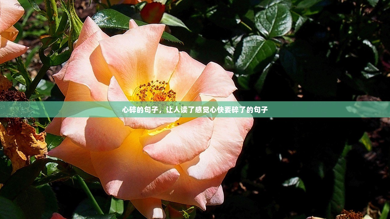 心碎的句子，让人读了感觉心快要碎了的句子