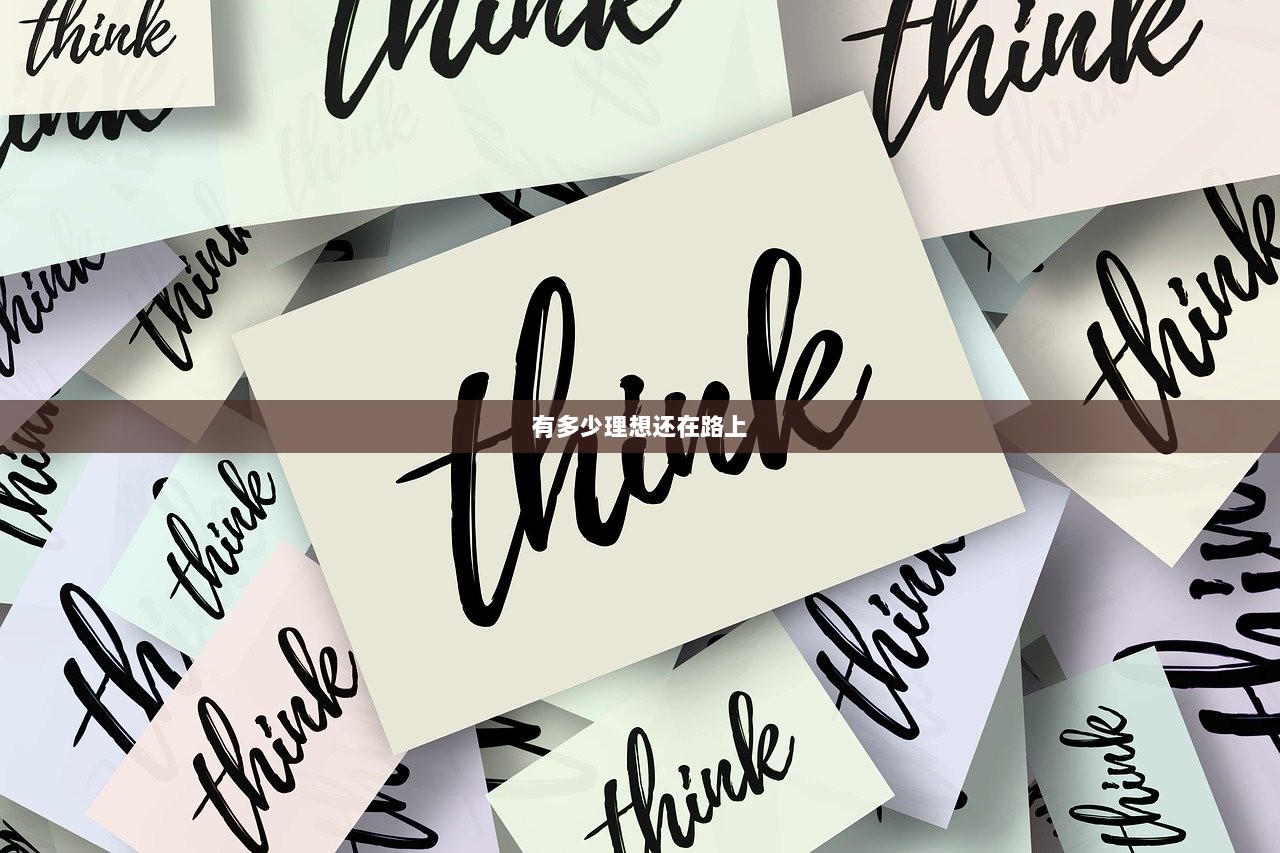 有多少理想还在路上