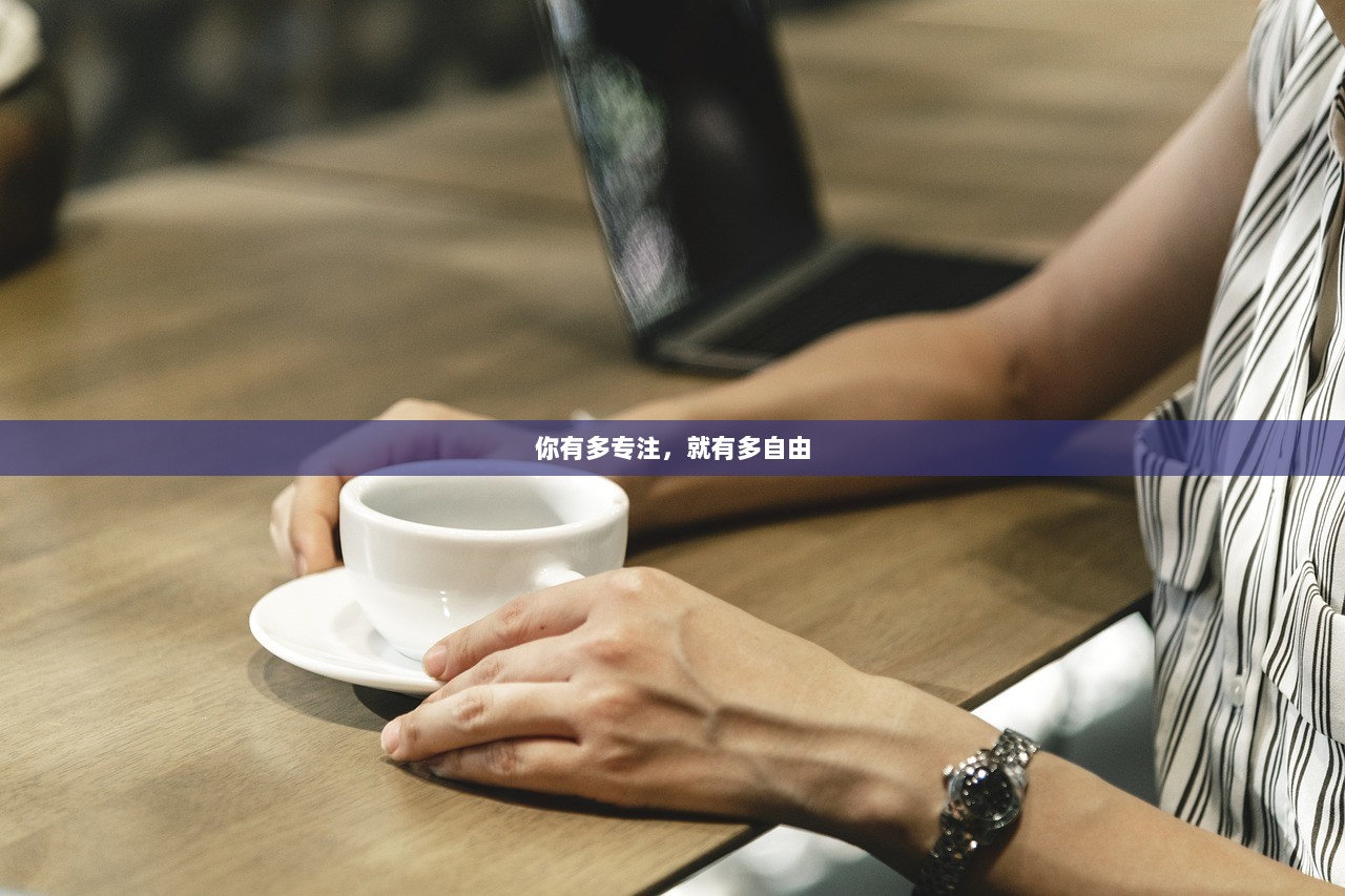 你有多专注，就有多自由  第1张