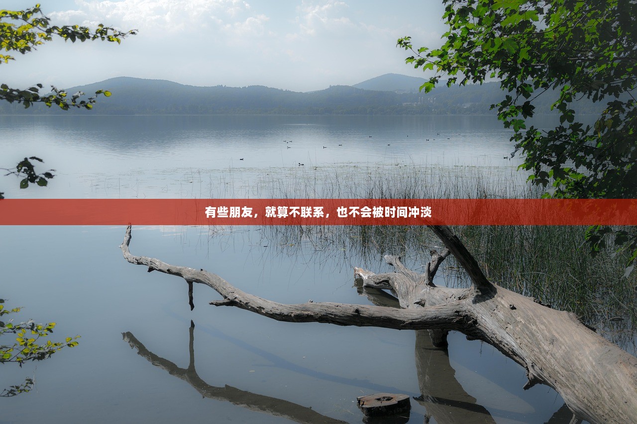 有些朋友，就算不联系，也不会被时间冲淡