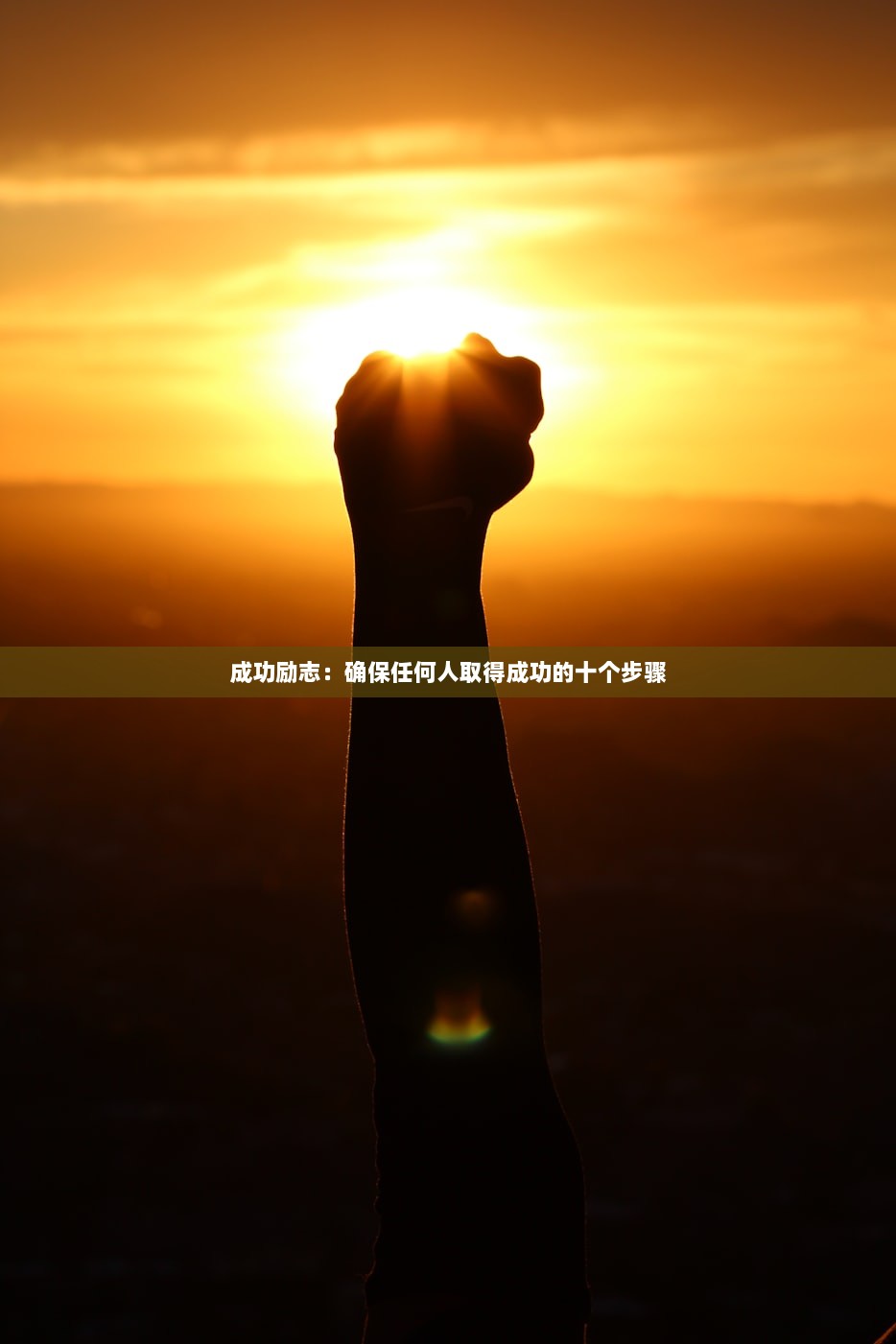 成功励志：确保任何人取得成功的十个步骤  第1张