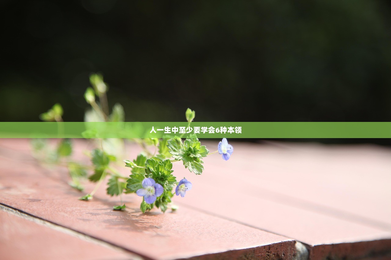 人一生中至少要学会6种本领