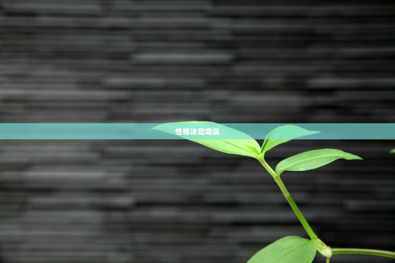 性格决定命运 第1张 性格决定命运 第1张