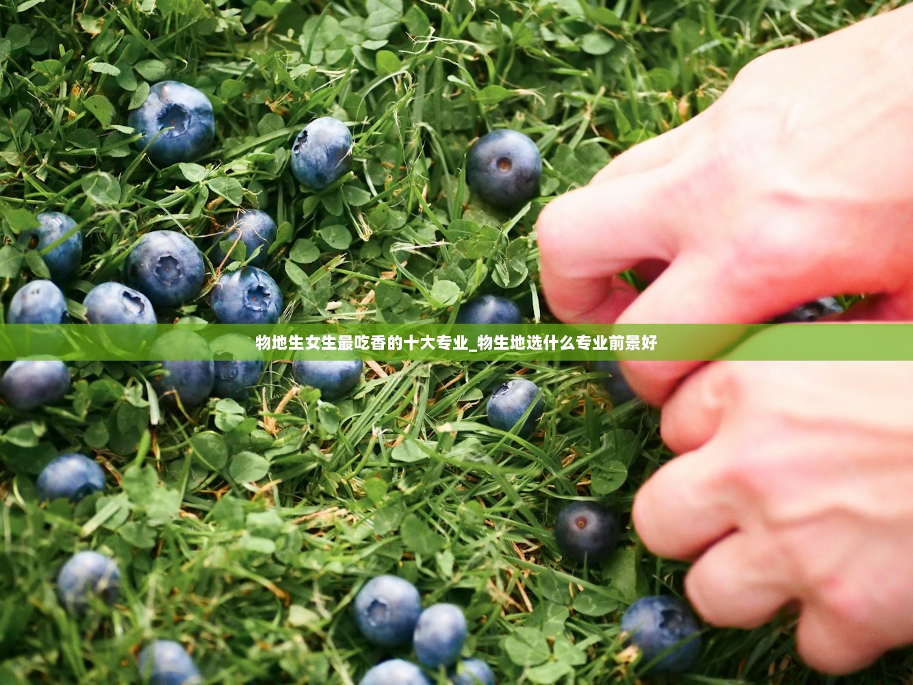 物地生女生最吃香的十大专业_物生地选什么专业前景好