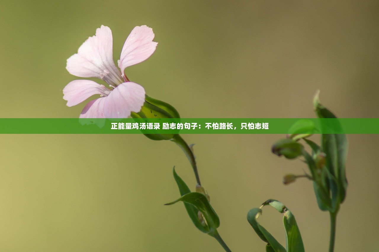 正能量鸡汤语录 励志的句子：不怕路长，只怕志短