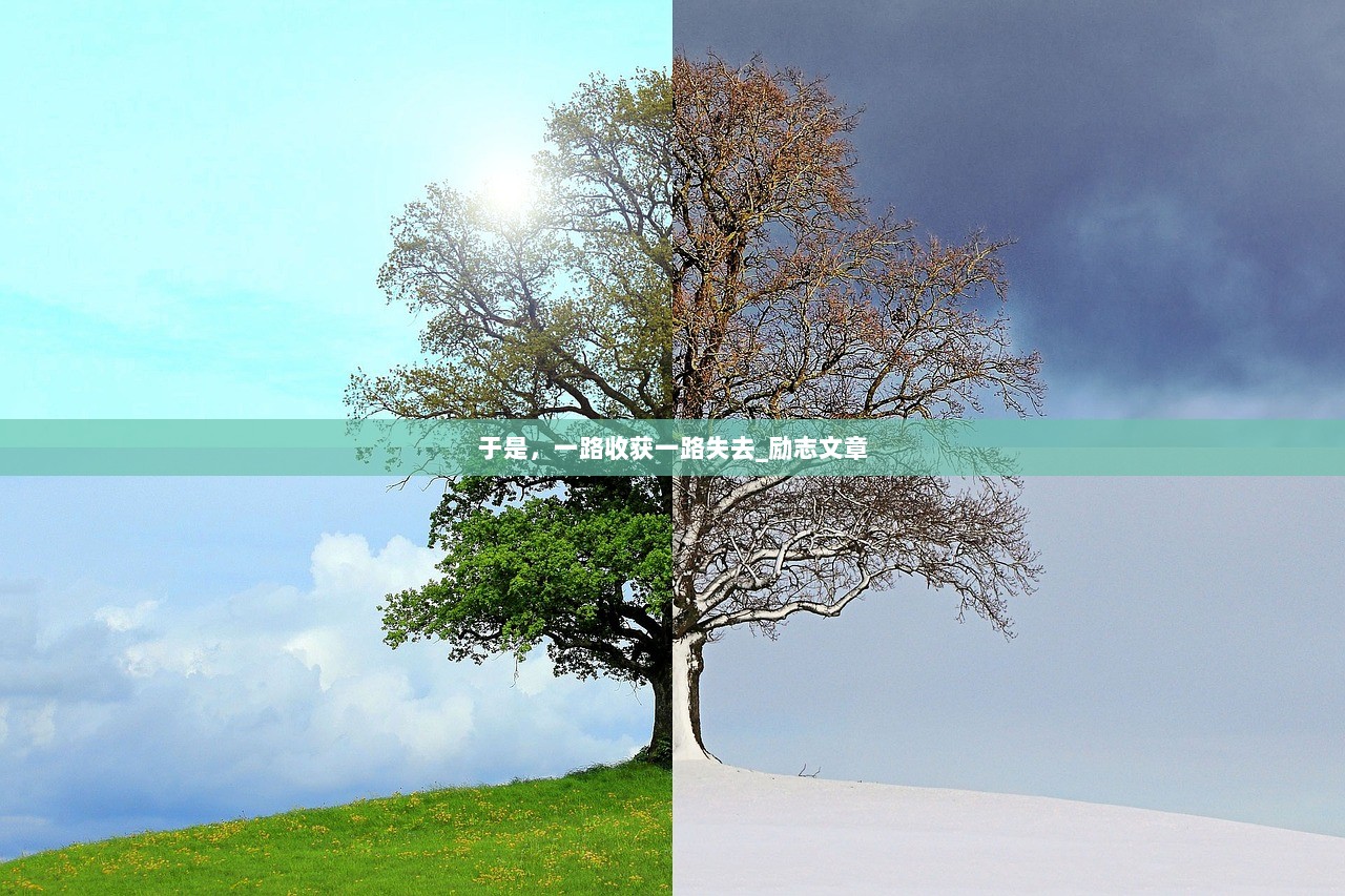 于是，一路收获一路失去_励志文章