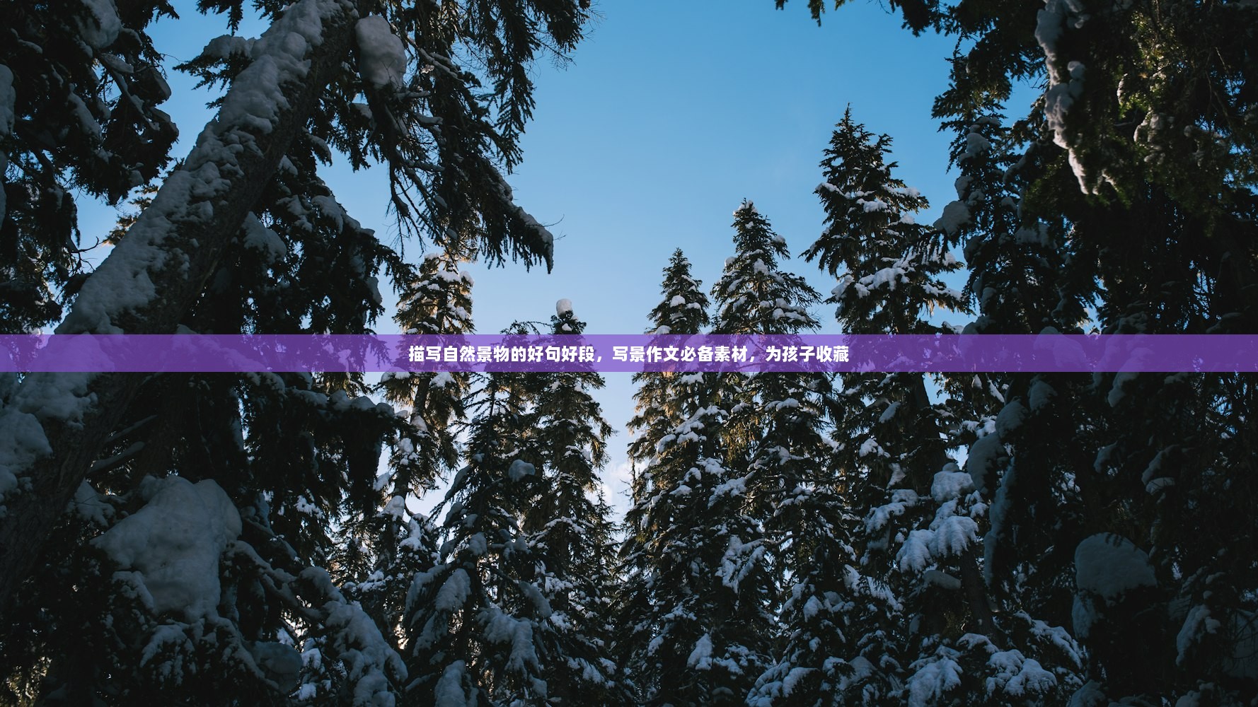 描写自然景物的好句好段，写景作文必备素材，为孩子收藏